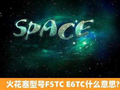 火花塞型号F5TC E6TC什么意思?