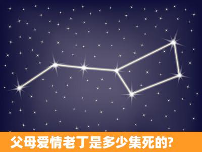 父母爱情老丁是多少集死的?