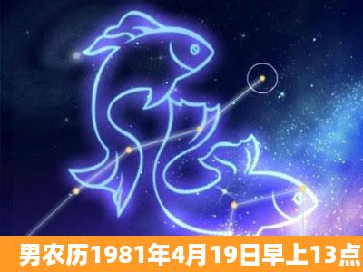 男农历1981年4月19日早上13点出生大师帮忙算下八字