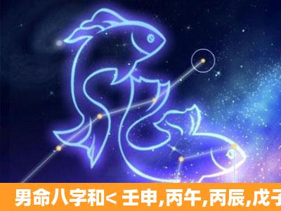 男命八字和< 壬申,丙午,丙辰,戊子