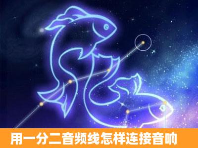 用一分二音频线怎样连接音响