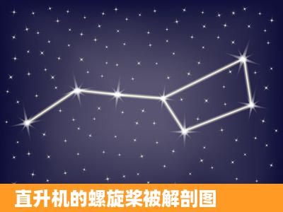 直升机的螺旋桨被解剖图