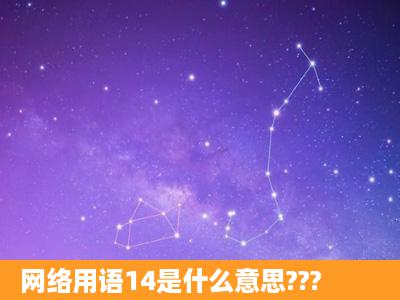 网络用语14是什么意思???