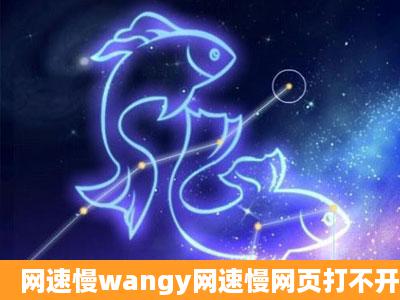 网速慢wangy网速慢网页打不开.怎么办?