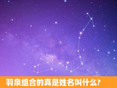 羽泉组合的真是姓名叫什么?