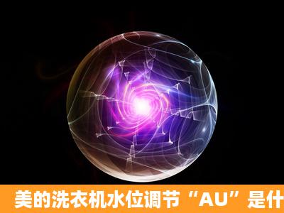 美的洗衣机水位调节“AU”是什么意思?