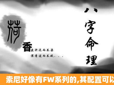 索尼好像有FW系列的,其配置可以玩永恒之塔和GT么?