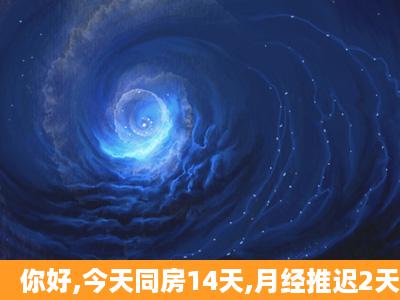 你好,今天同房14天,月经推迟2天,用早早孕试纸能测出是否怀孕吗?(女,...