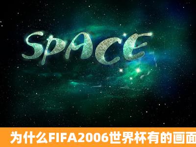 为什么FIFA2006世界杯有的画面一闪一闪