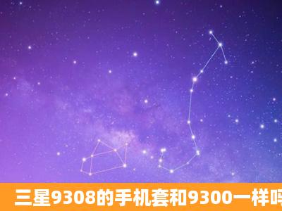 三星9308的手机套和9300一样吗