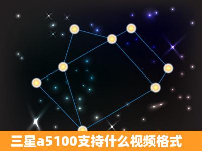 三星a5100支持什么视频格式