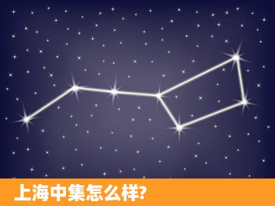 上海中集怎么样?