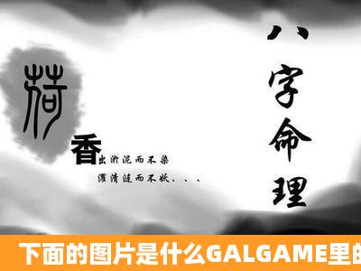 下面的图片是什么GALGAME里的