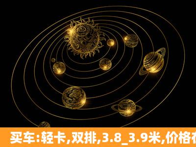 买车:轻卡,双排,3.8_3.9米,价格在3到4万,请给点意见……