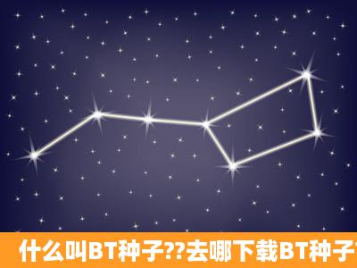 什么叫BT种子??去哪下载BT种子?