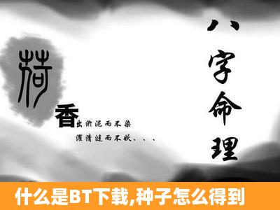 什么是BT下载,种子怎么得到