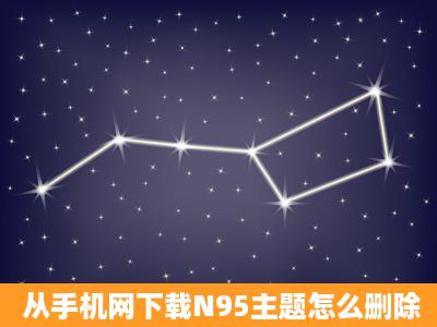 从手机网下载N95主题怎么删除