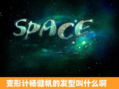 变形计杨健帆的发型叫什么啊