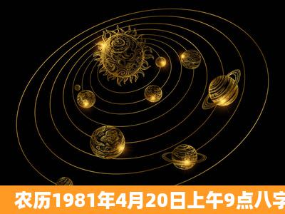 农历1981年4月20日上午9点八字是什么?