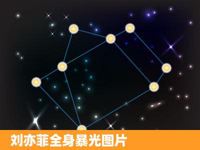 刘亦菲全身暴光图片