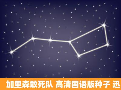 加里森敢死队 高清国语版种子 迅雷下载