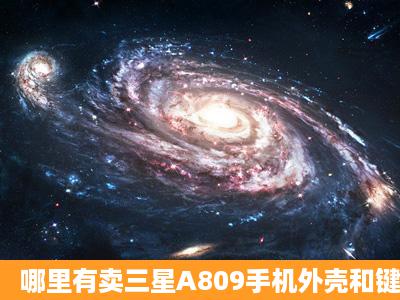 哪里有卖三星A809手机外壳和键盘的?