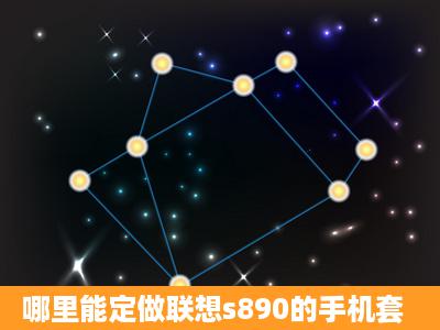 哪里能定做联想s890的手机套