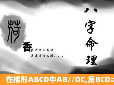 在梯形ABCD中AB//DC,角BCD=90°,且AB=1,BC=2,tan角ADC=2