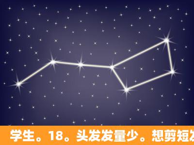 学生。18。头发发量少。想剪短发,适合什么样的