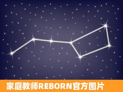 家庭教师REBORN官方图片