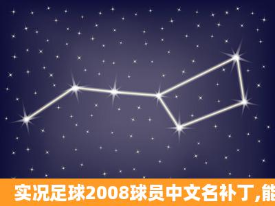 实况足球2008球员中文名补丁,能不能给我也发一份,我是实况足球11