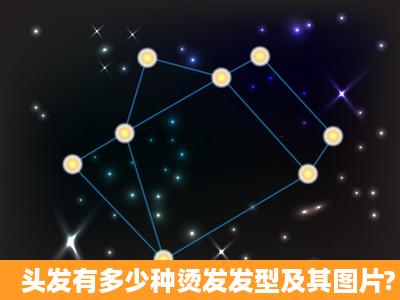 头发有多少种烫发发型及其图片?