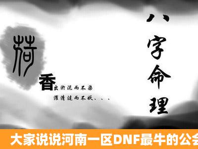 大家说说河南一区DNF最牛的公会!!