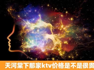 天河棠下那家ktv价格是不是很贵呀.