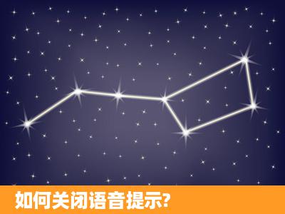 如何关闭语音提示?