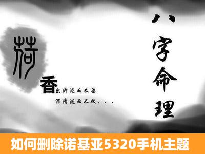 如何删除诺基亚5320手机主题