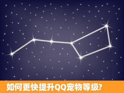 如何更快提升QQ宠物等级?