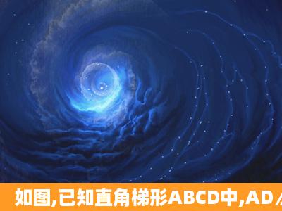 如图,已知直角梯形ABCD中,AD∥BC,AB⊥BC,AD=2,AB=8,CD=10.(1)...