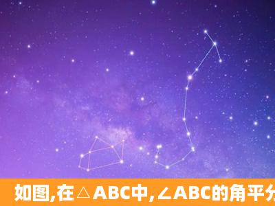 如图,在△ABC中,∠ABC的角平分线BD与∠ACB的外角平分线CD相交...