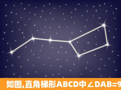 如图,直角梯形ABCD中∠DAB=90°,AD ∥ BC,AB=2,AD= 3 2 ,BC= 1 ...