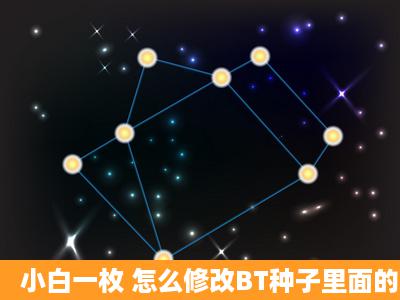 小白一枚 怎么修改BT种子里面的文件名字