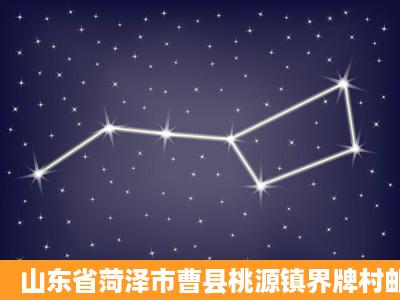 山东省菏泽市曹县桃源镇界牌村邮编是什么?