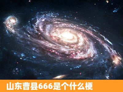 山东曹县666是个什么梗