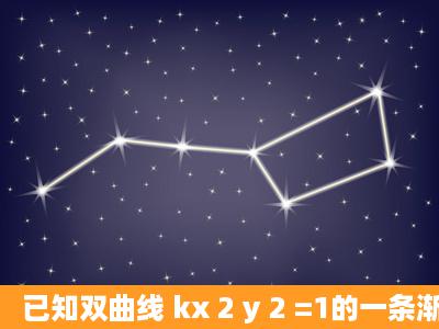 已知双曲线 kx 2 y 2 =1的一条渐近线与直线 l :2 x + y +1=0垂直,则此双...