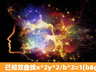 已知双曲线x^2y^2/b^2=1(b>0)的一条渐近线的方程为y=2x,试求双...