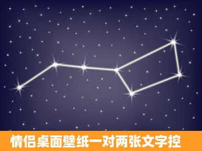 情侣桌面壁纸一对两张文字控