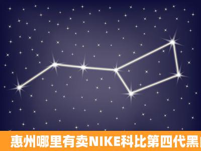 惠州哪里有卖NIKE科比第四代黑白色? 速度