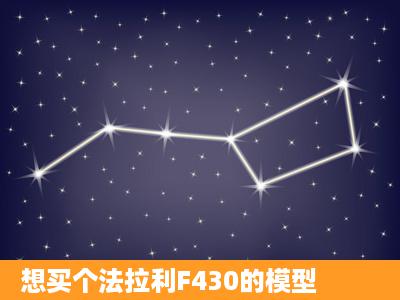 想买个法拉利F430的模型