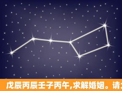 戊辰丙辰壬子丙午,求解婚姻。请大师详批。