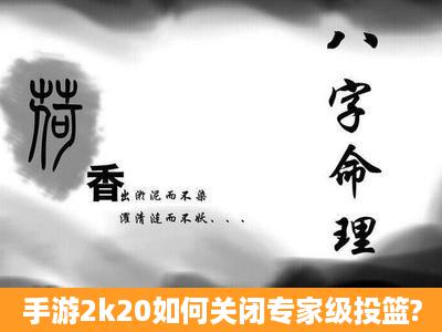 手游2k20如何关闭专家级投篮?